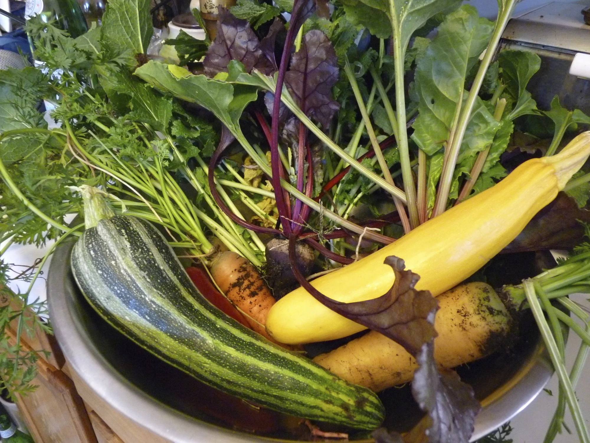 Seasonal vegetables are harvested