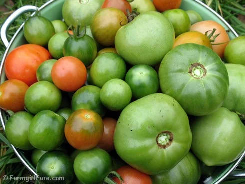 What to do with all those green tomatoes