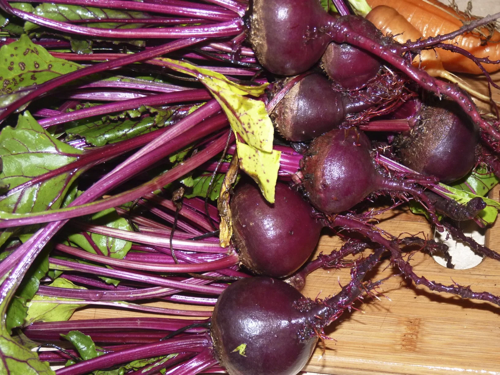 Vegetarian Beet Carrot Ginger Soup Recipe