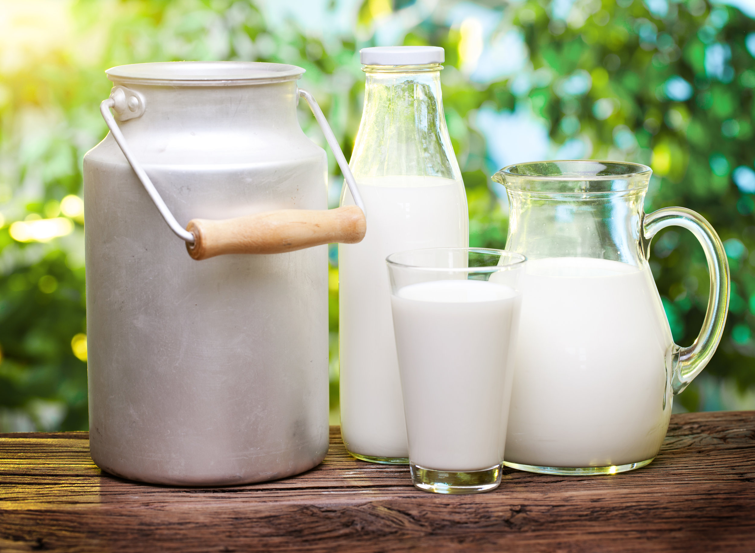 Nourishing Rasa: Milk the Sacred Elixir