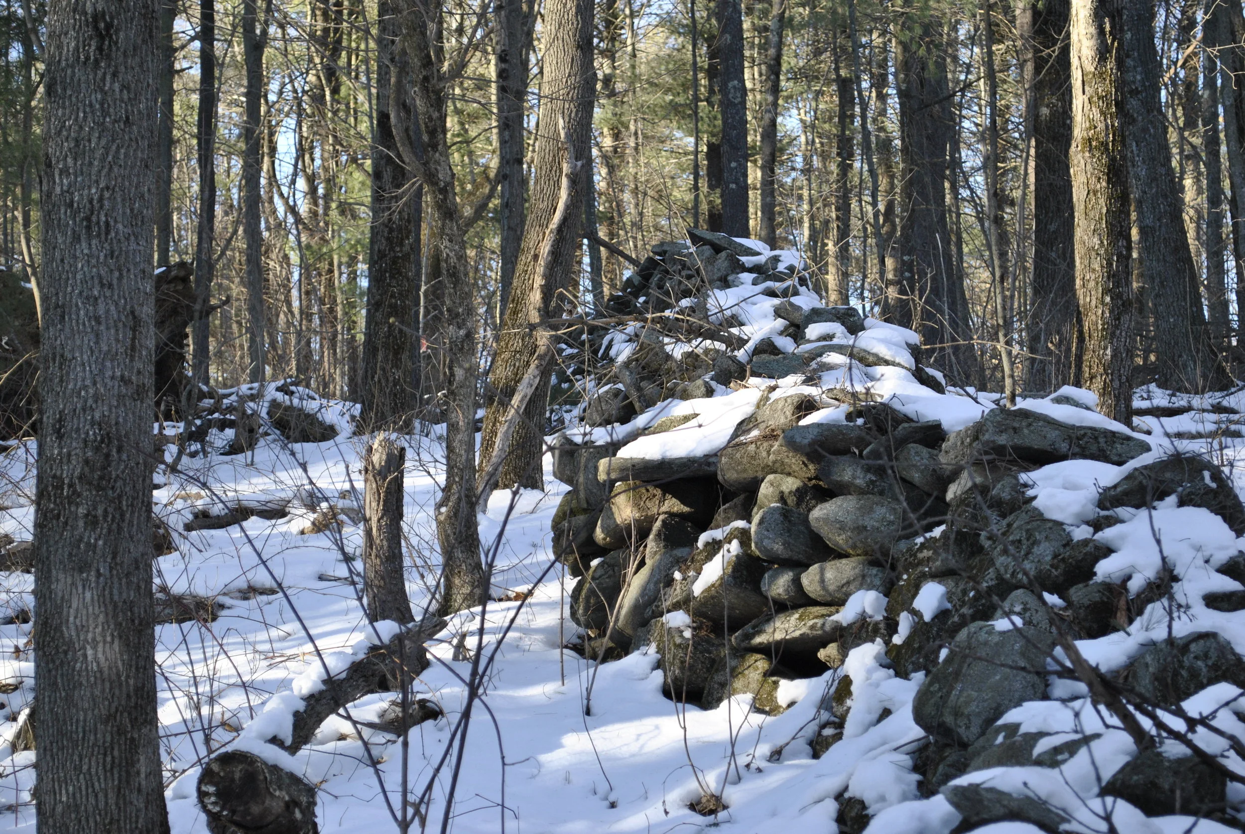 Ayurvedic Self Care for Winter