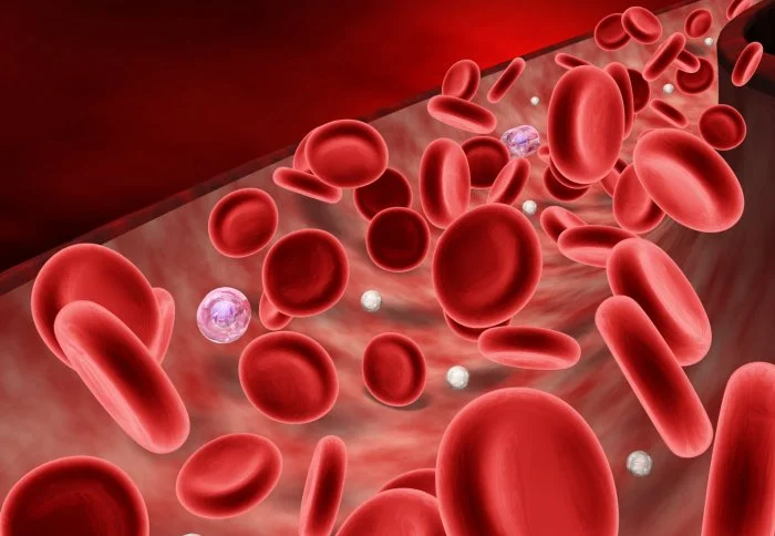 Nourishing Rakta Part Two: Iron Nutrition 