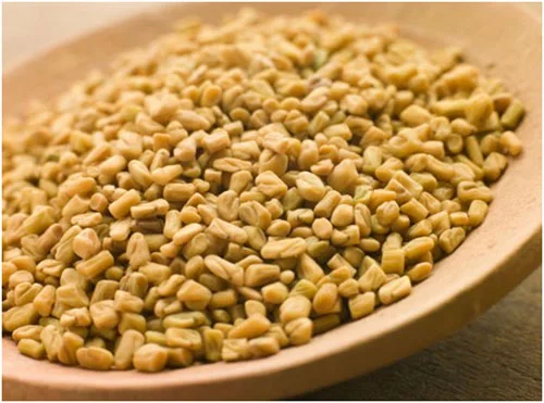 Fenugreek | Methi
