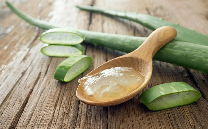 Aloe Vera | Kumari