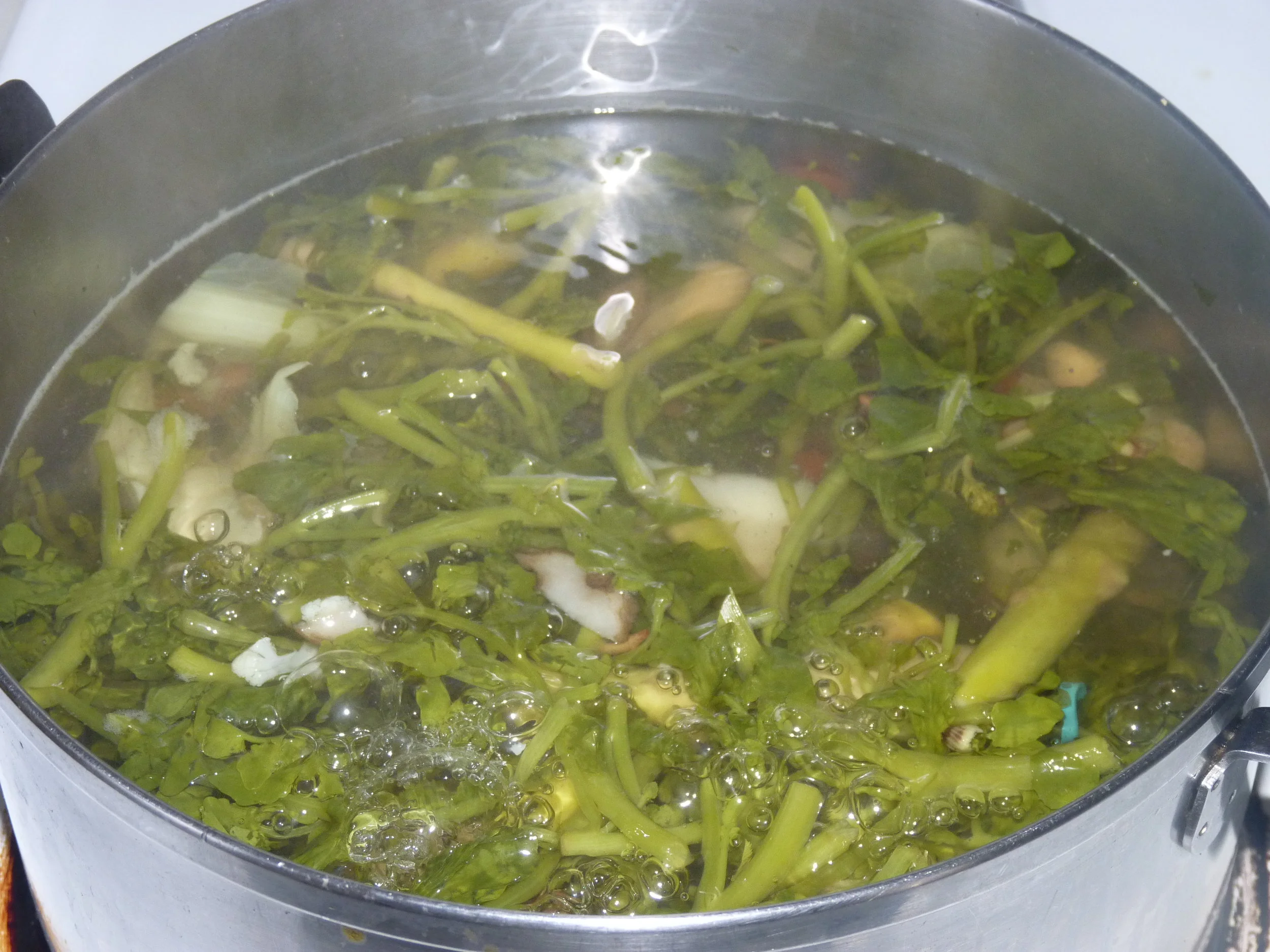 Thrifty Vegetable Broth