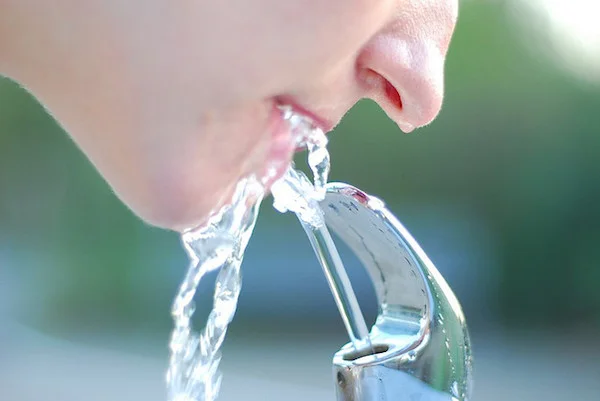 Life-giving water: an Ayurvedic View