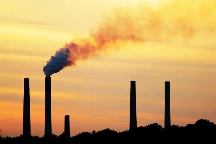 Protect yourself from Environmental Toxins