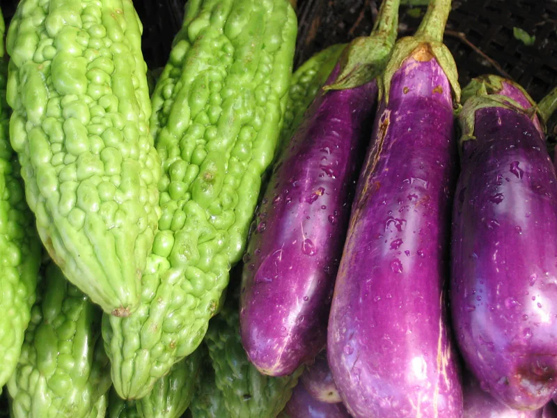Ayurvedic Recipes_Indian Eggplants and Bitter Gourds in Poppy Seed Sauce.jpg