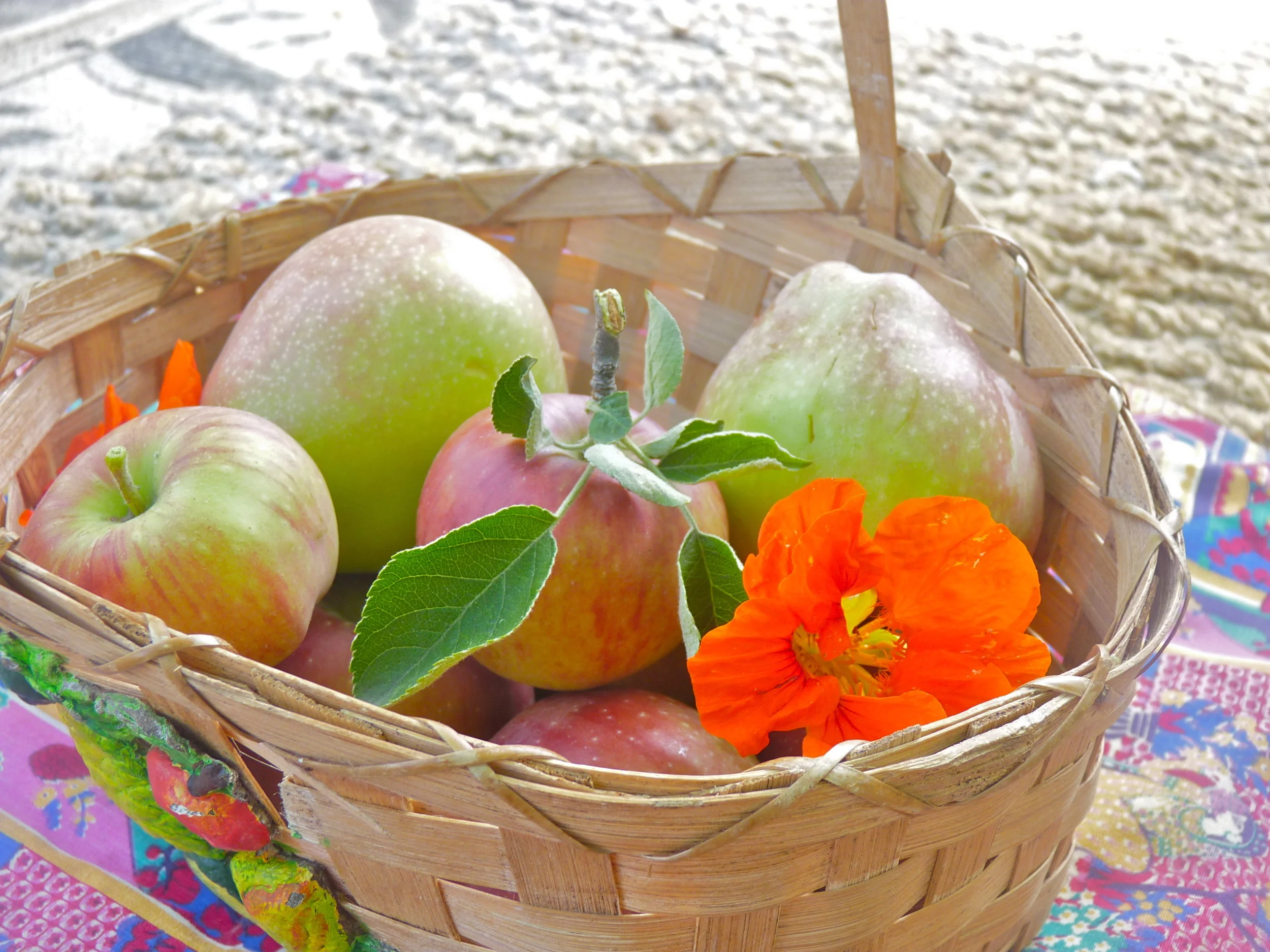 Ayurvedic Diet_Sevam Apple.jpg