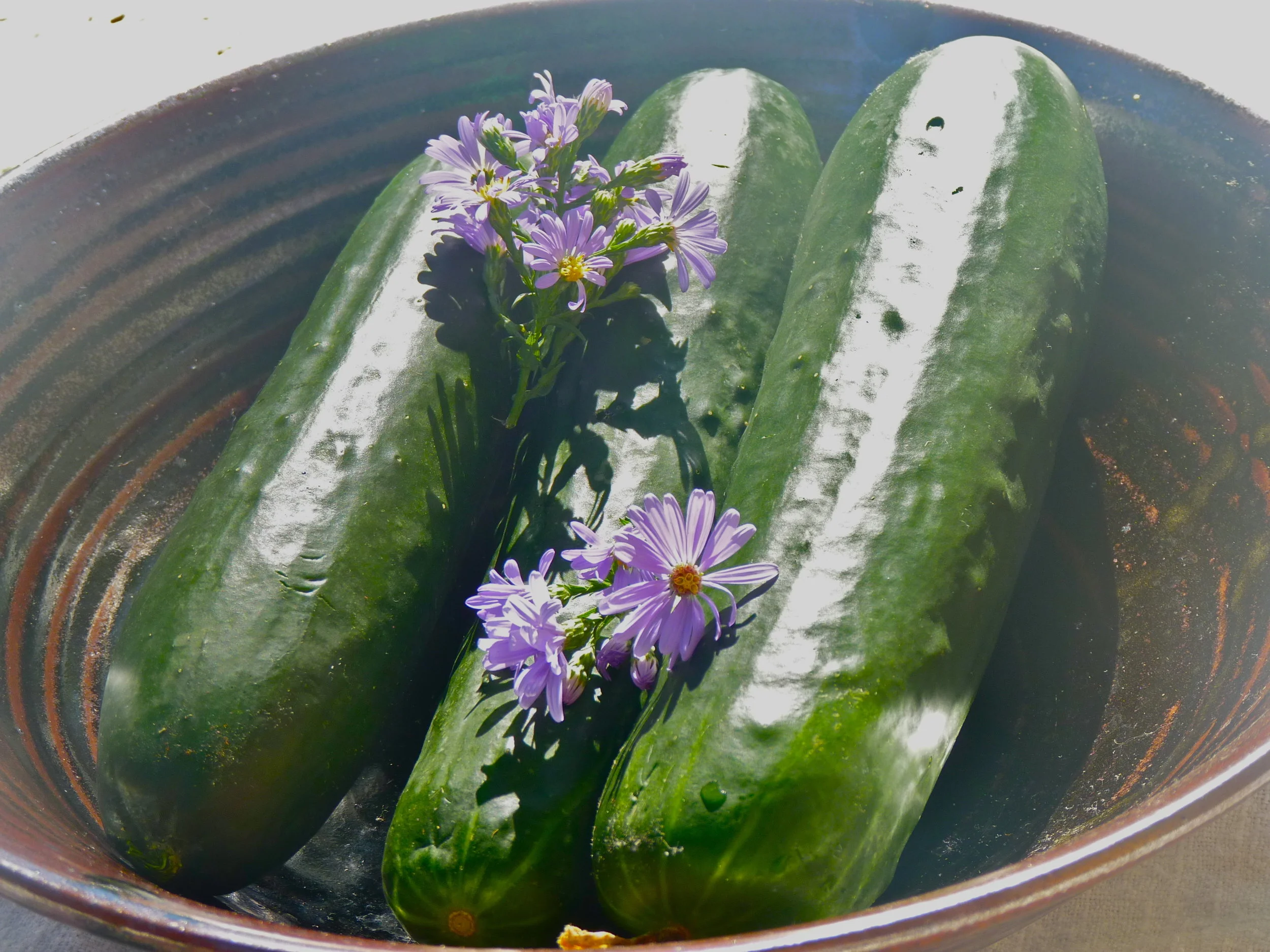 Ayurvedic Diet_Cucumber.jpg
