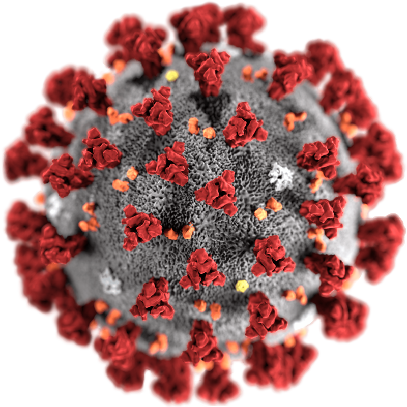 Pandemic Preparedness