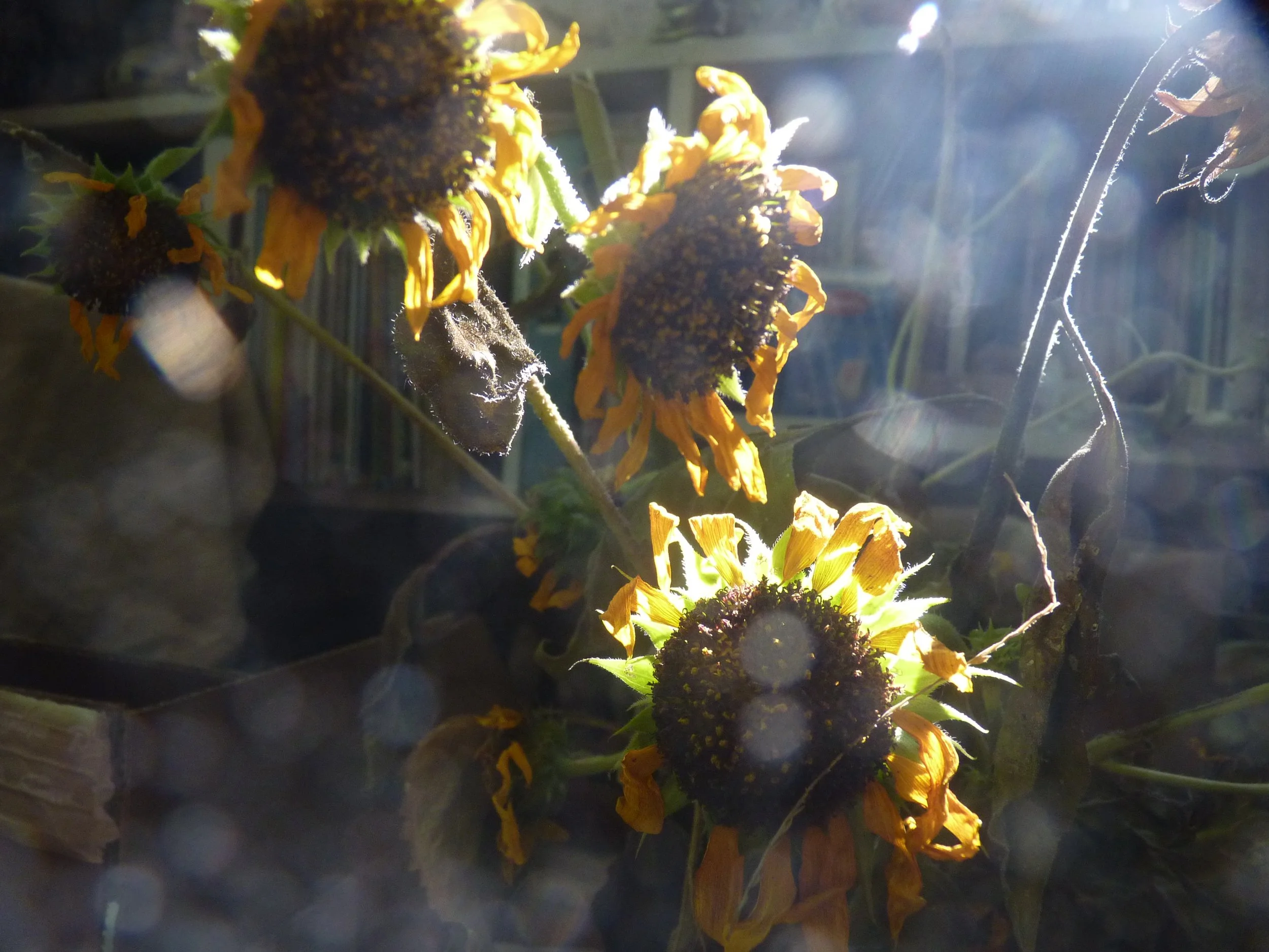 Navigating the change of seasons