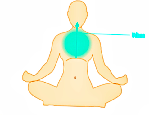 Yoga and Ayurveda: Udana Vayu — Alandi Ayurveda