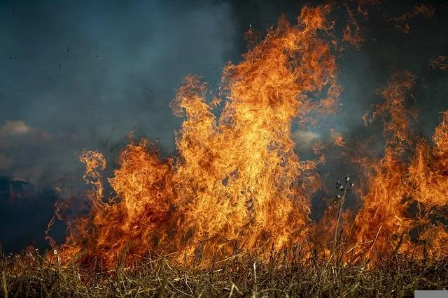 fire-g7e3ca69ef_640.jpg