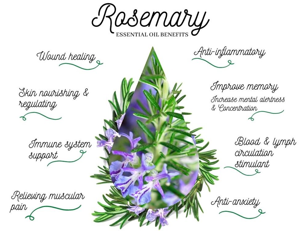 Rosemary essential oil benefits
