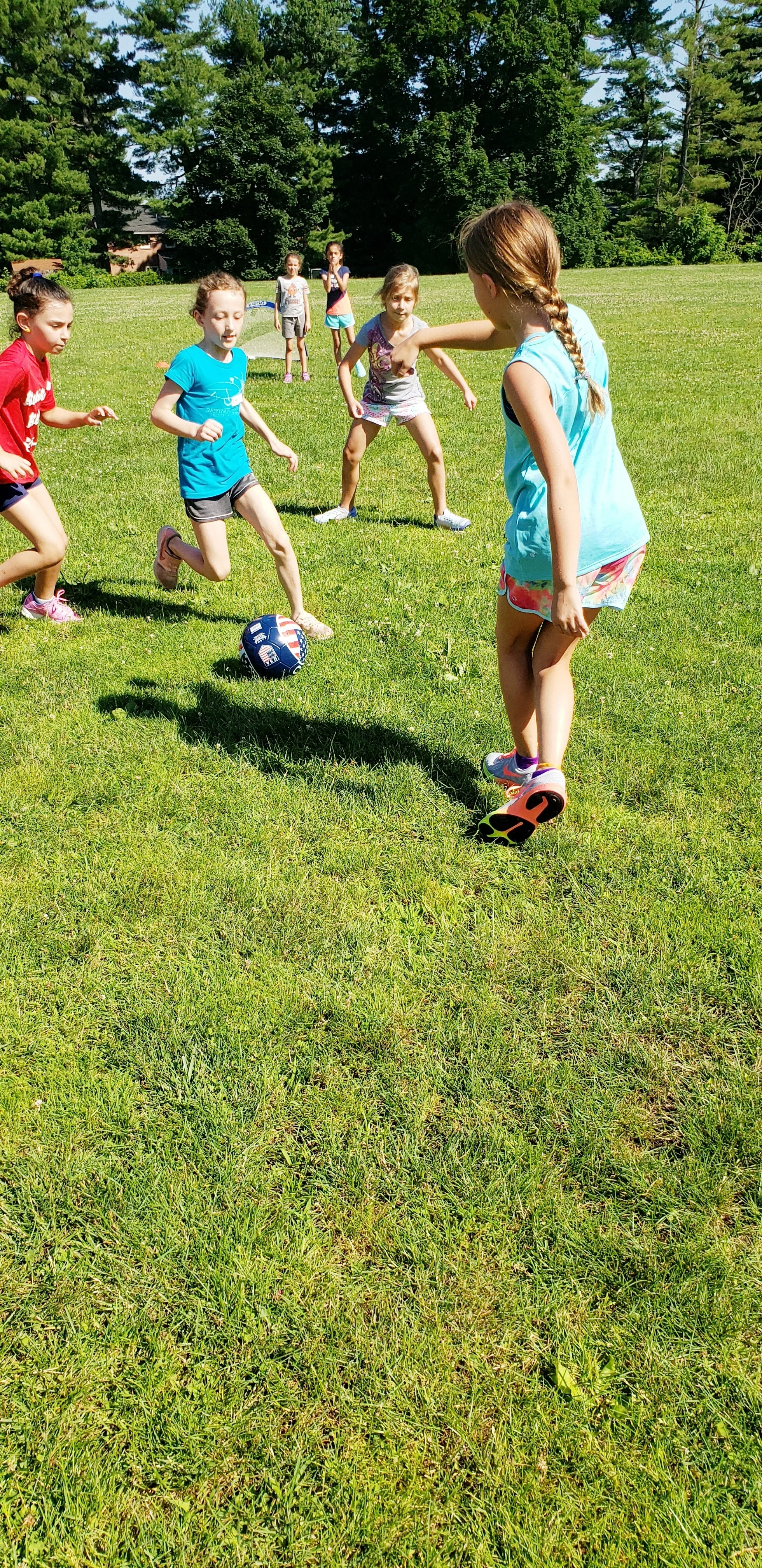 20190626_093415.jpg