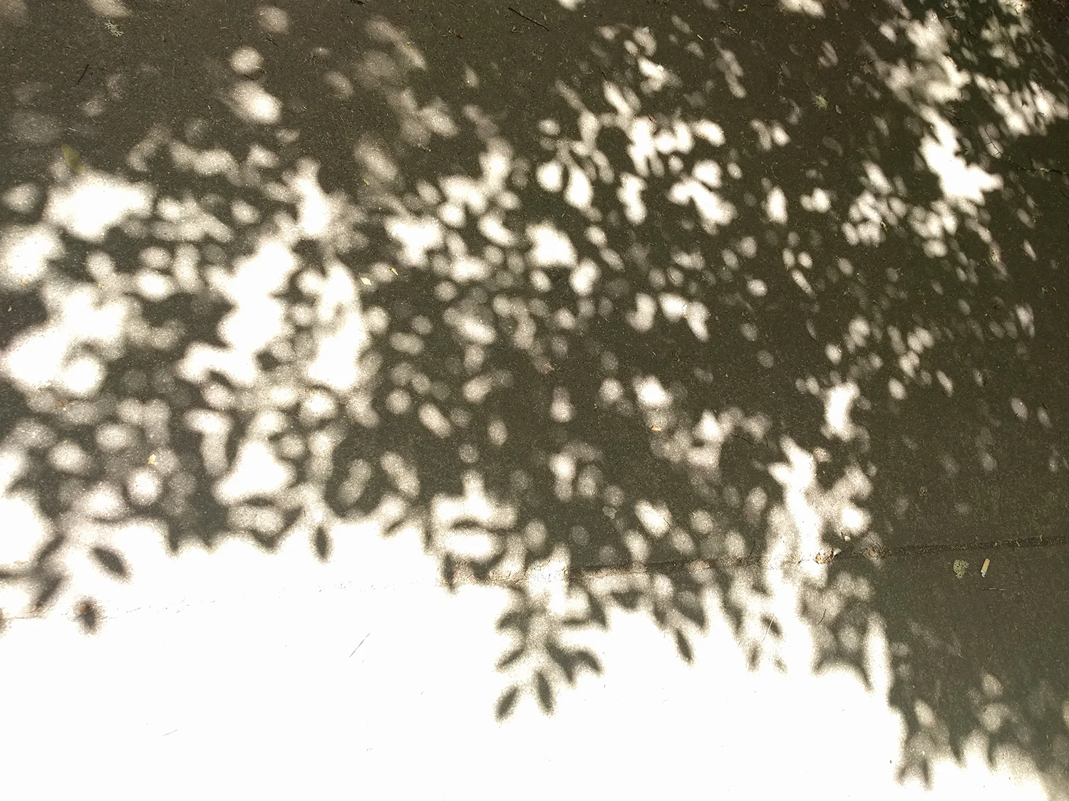 shadow sidewalk.jpg