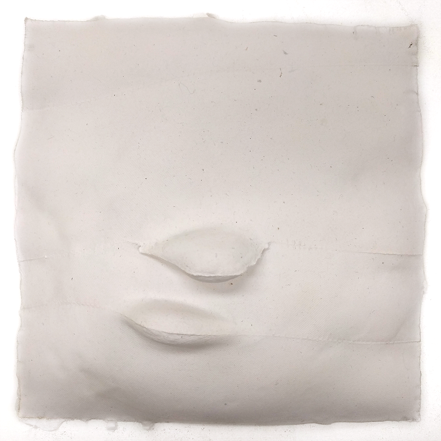 face.png
