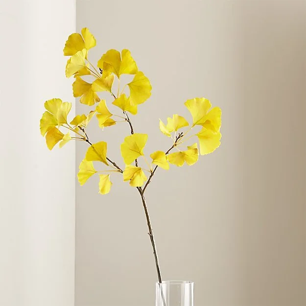 GinkgoStemYellowROF17.jpeg