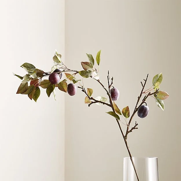  https://www.crateandbarrel.com/plum-stem/s601944 