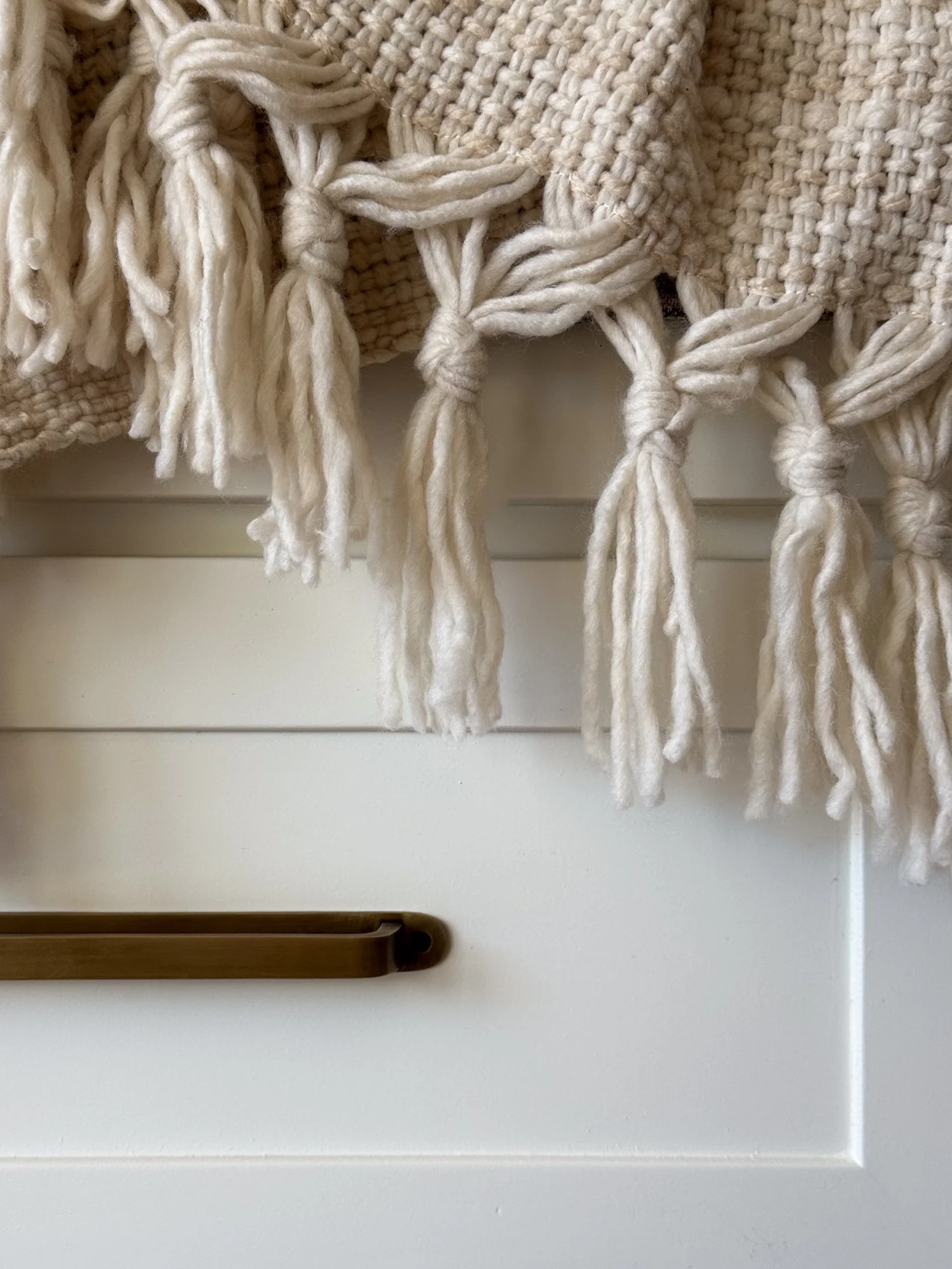 Carnett Project - Basil and Tate - Denver-36.jpg