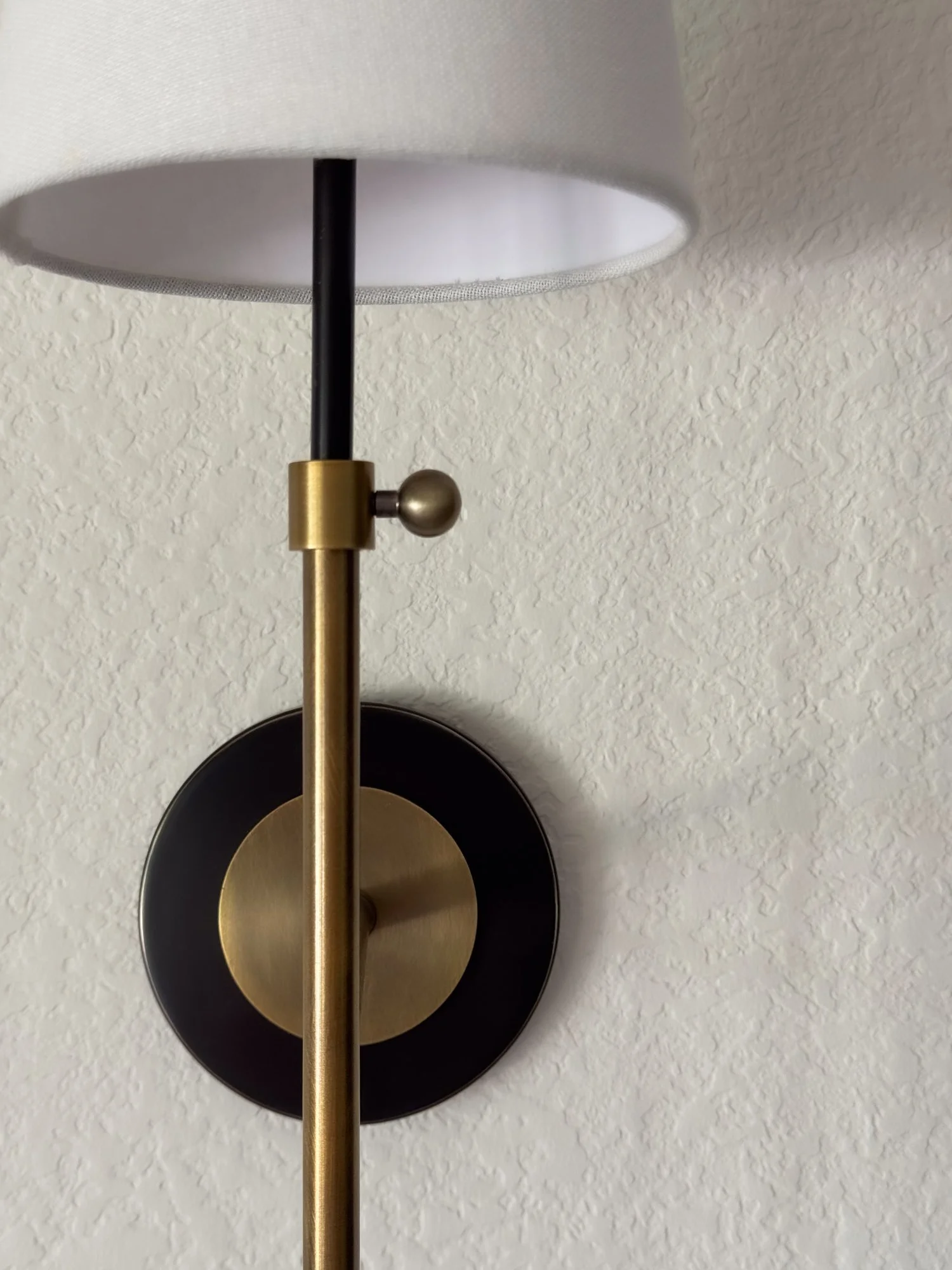 Carnett Project - Basil and Tate - Denver-37.jpg