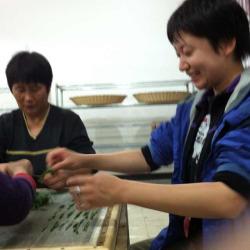 Hand making Hou Kui in Taiping