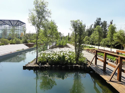 (A chinampa is an agricultural and irrigation system consisting of a series of man-made islands, one prominently used by the aztecs at their ancient capital, Tenochtitlan, limited to an island in the middle of the Lake Texcoco, its basin now completely dried up and occupied by present-day Mexico City). Photo of Chinampas at Bicentennial Park by Yolanda Arango.