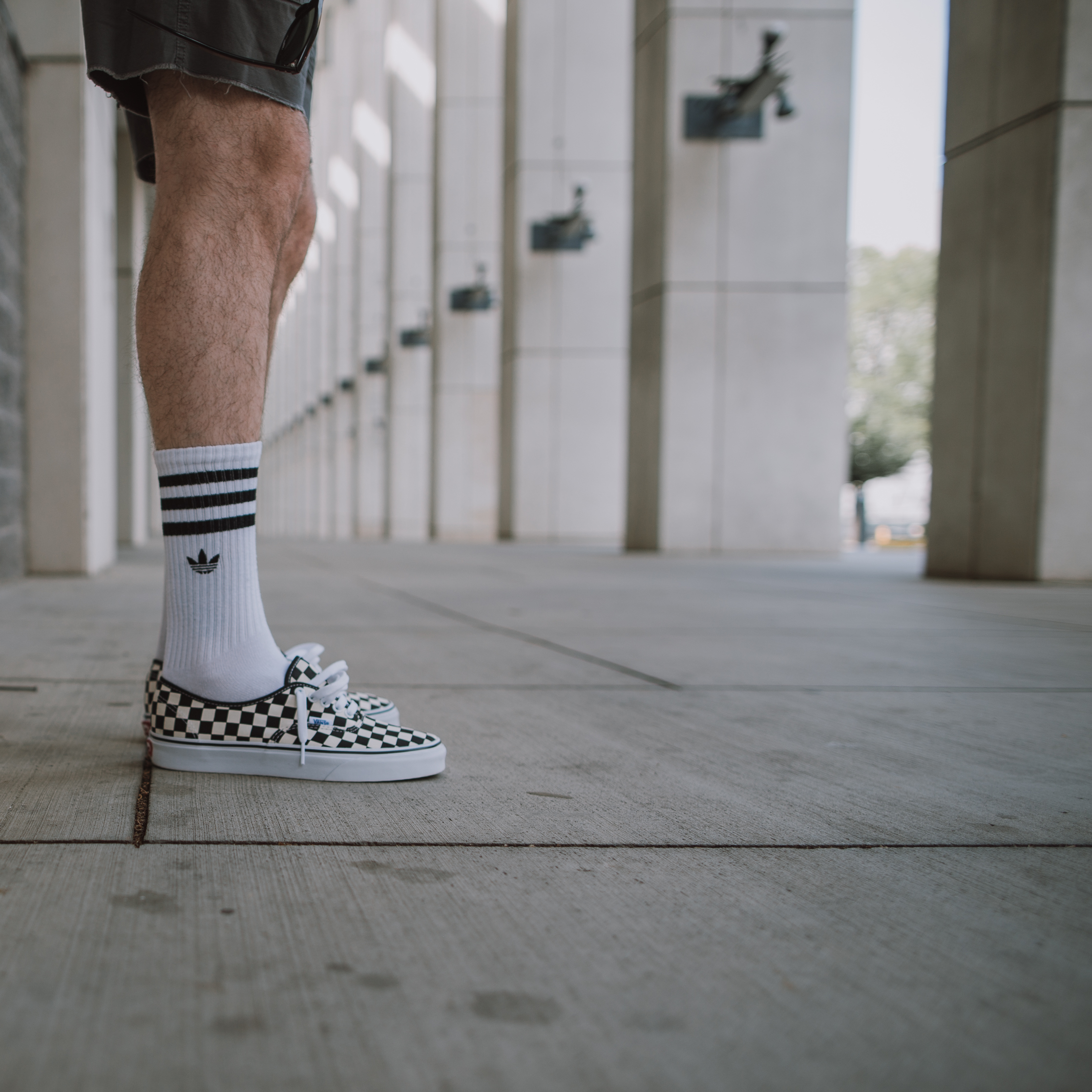 golden coast vans on feet