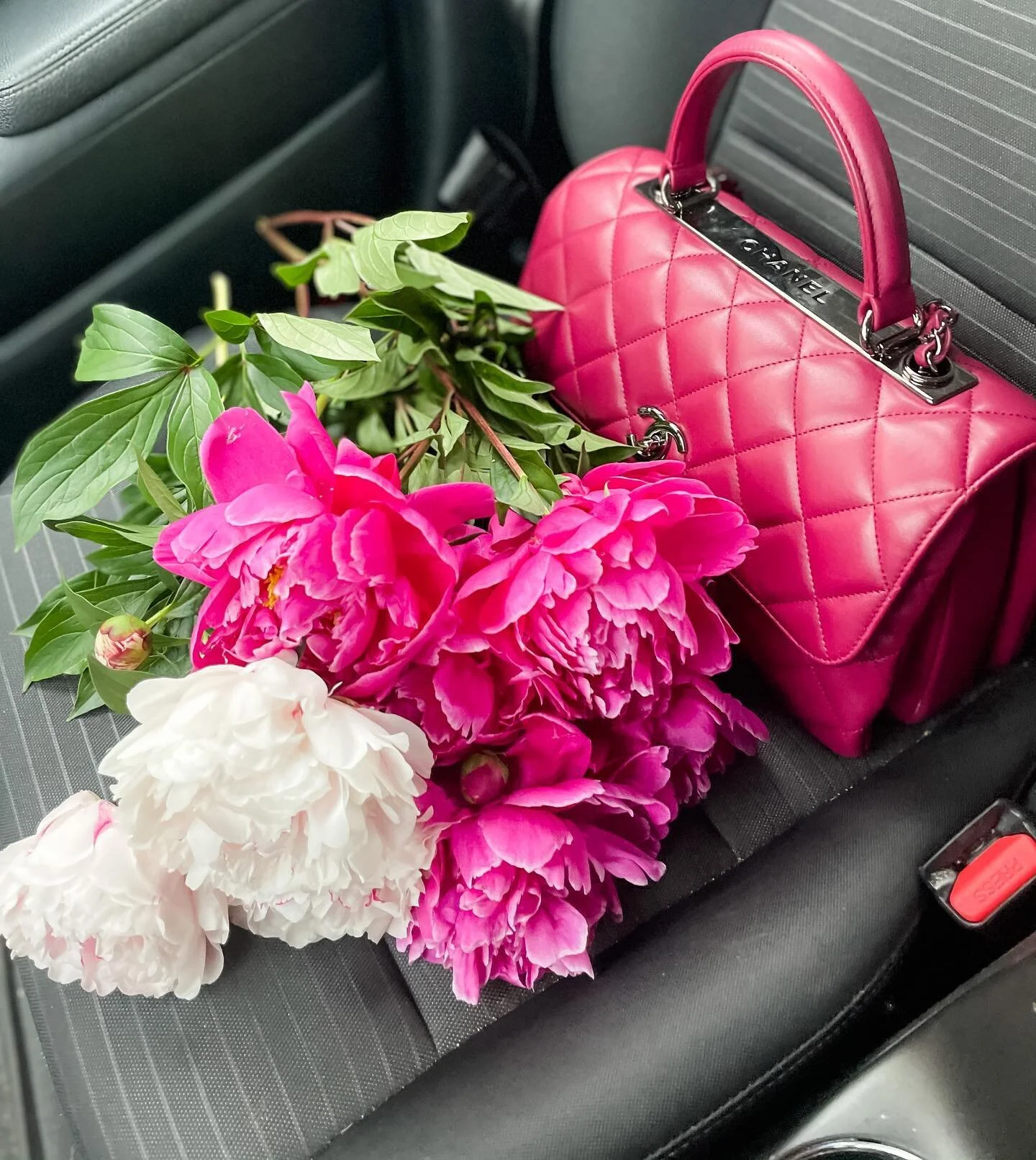 &ldquo;One day you will look back and see that all along you were blooming.&rdquo;🌸
Peony season is upon us and I couldn&rsquo;t be happier!😍💕
.
.
.
#itsbeenawhile  #peonies #peonyseason #favflower #chanel #chaneltrendy #luxuryhandbags #chaneladdi