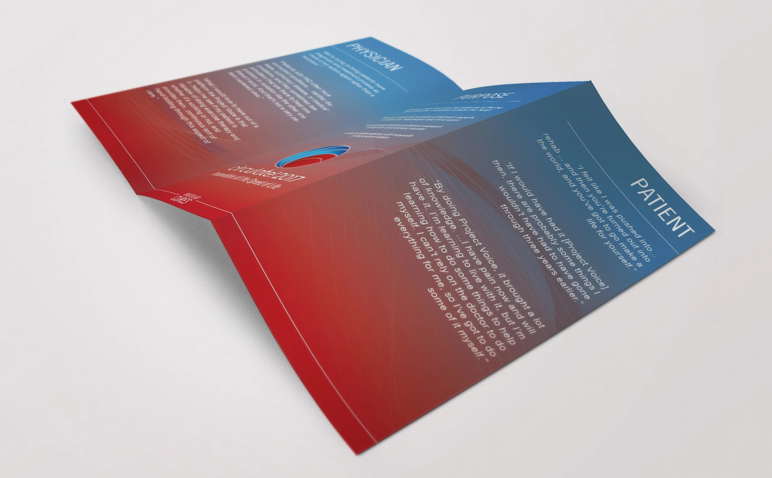 VC portfolio mockup.jpg