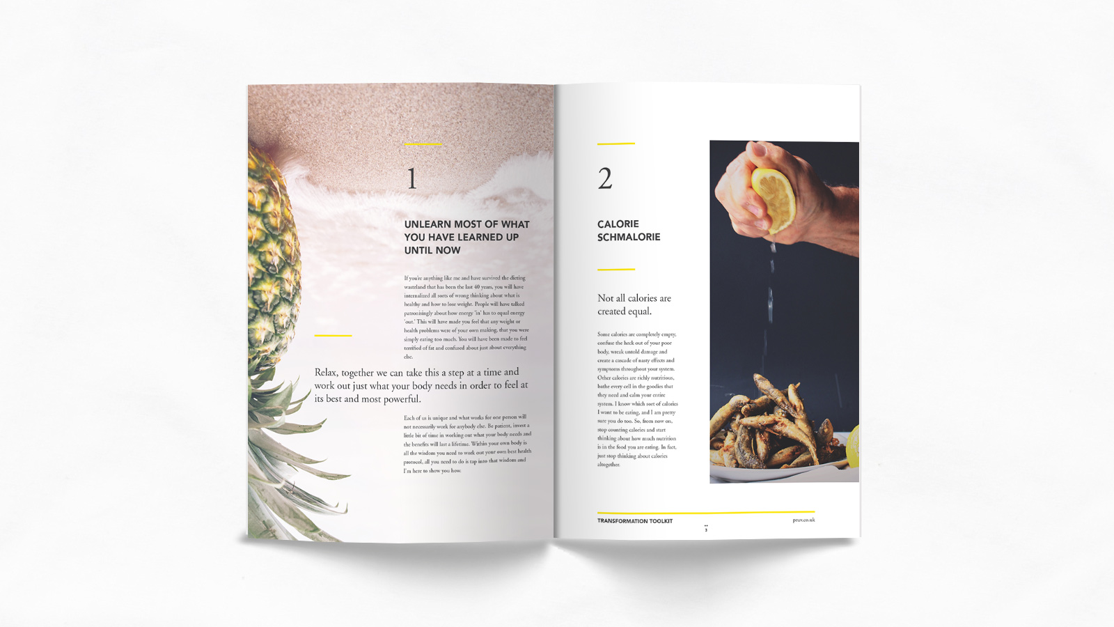 Pruv-Transformation-Toolkit-Designed-By-ALSO-Agency-2.jpg