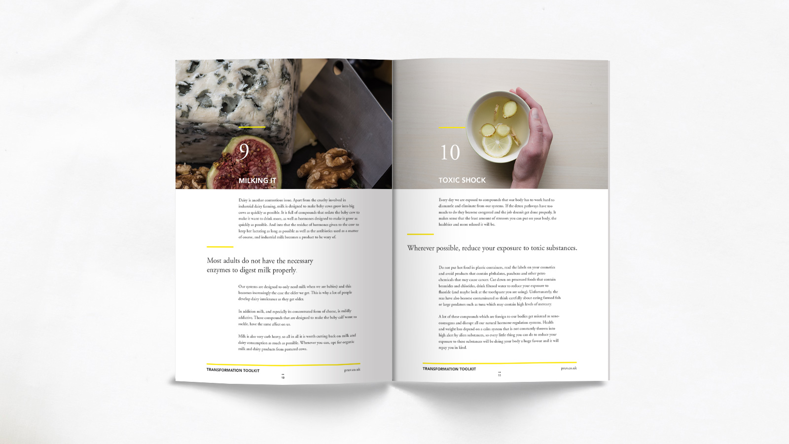 Pruv-Transformation-Toolkit-Designed-By-ALSO-Agency-4.jpg