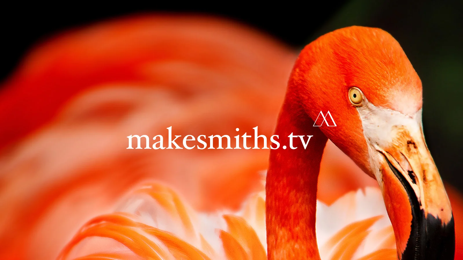 makesmiths-by-also-agency-6.jpg