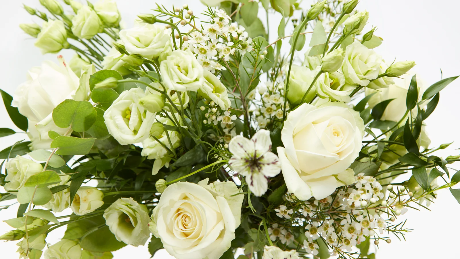 16x9-_0004_Layer 5.jpg