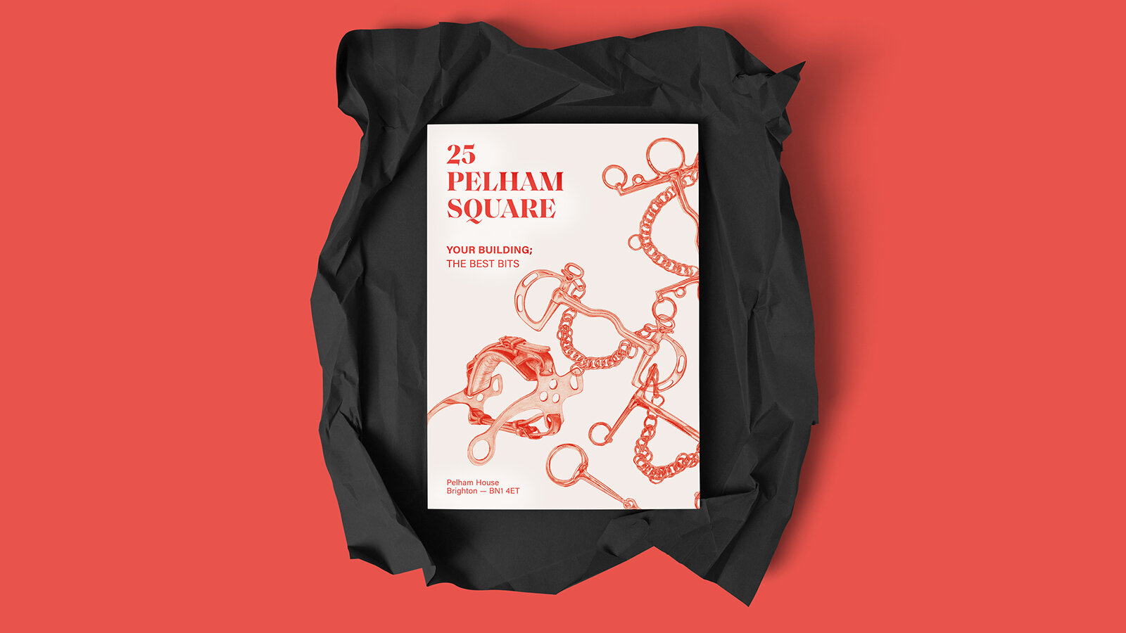 Branding-and-marketing-ALSO_Agency-Pelham-Square-02.jpg