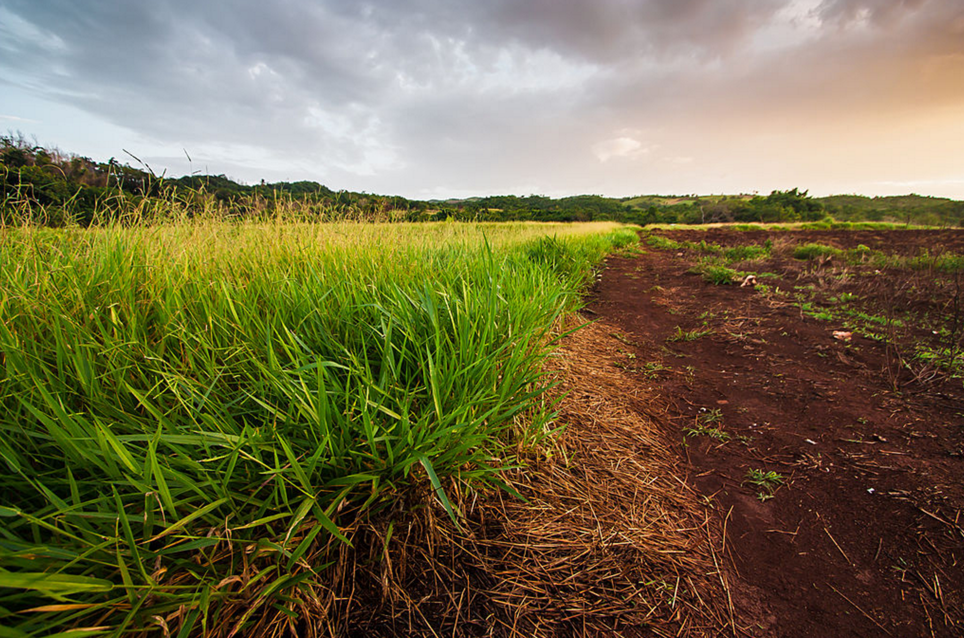 Screen Shot 2016-10-13 at 12.39.43.png