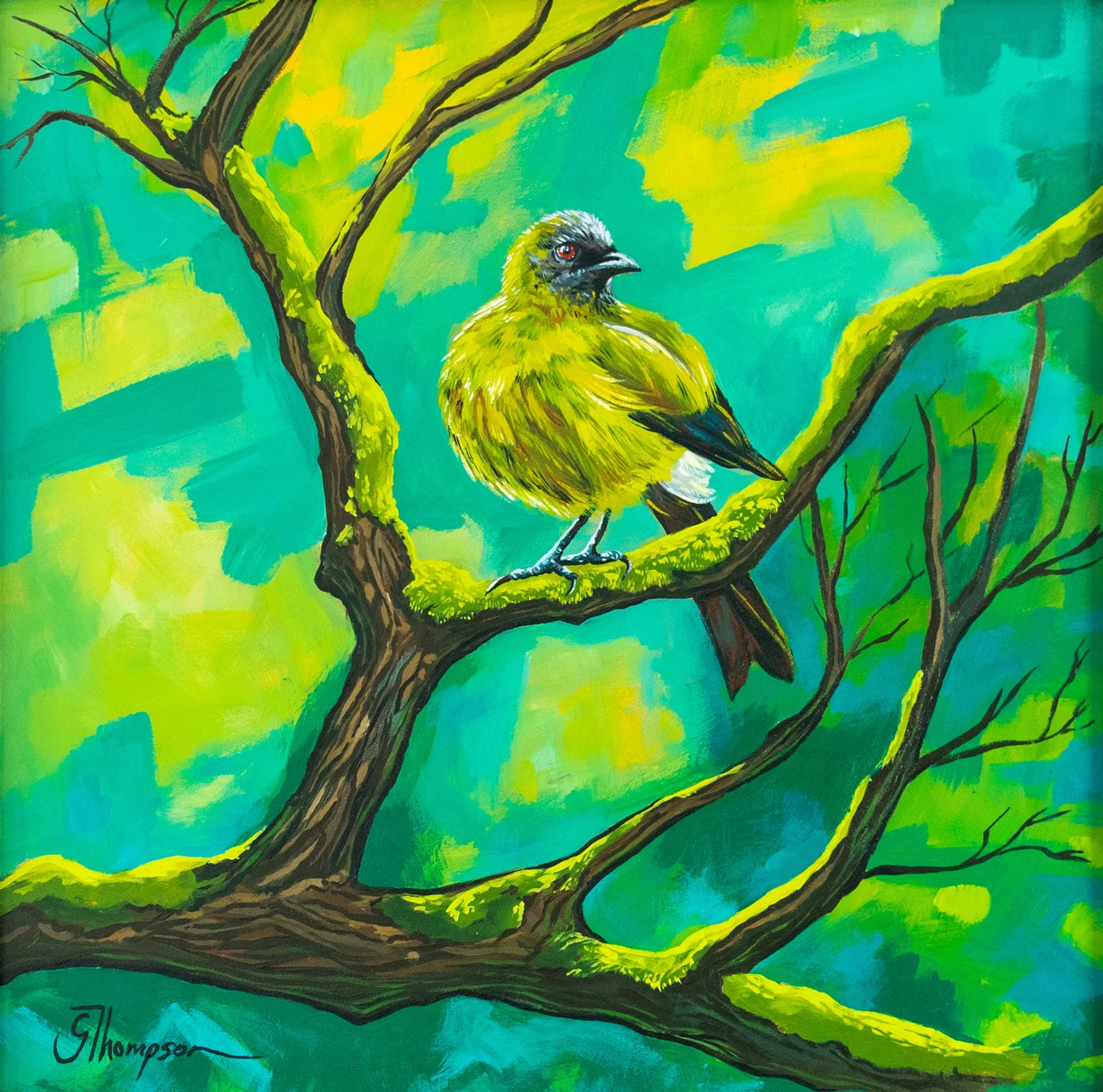 shop-original-bellbird-sass-art.jpg