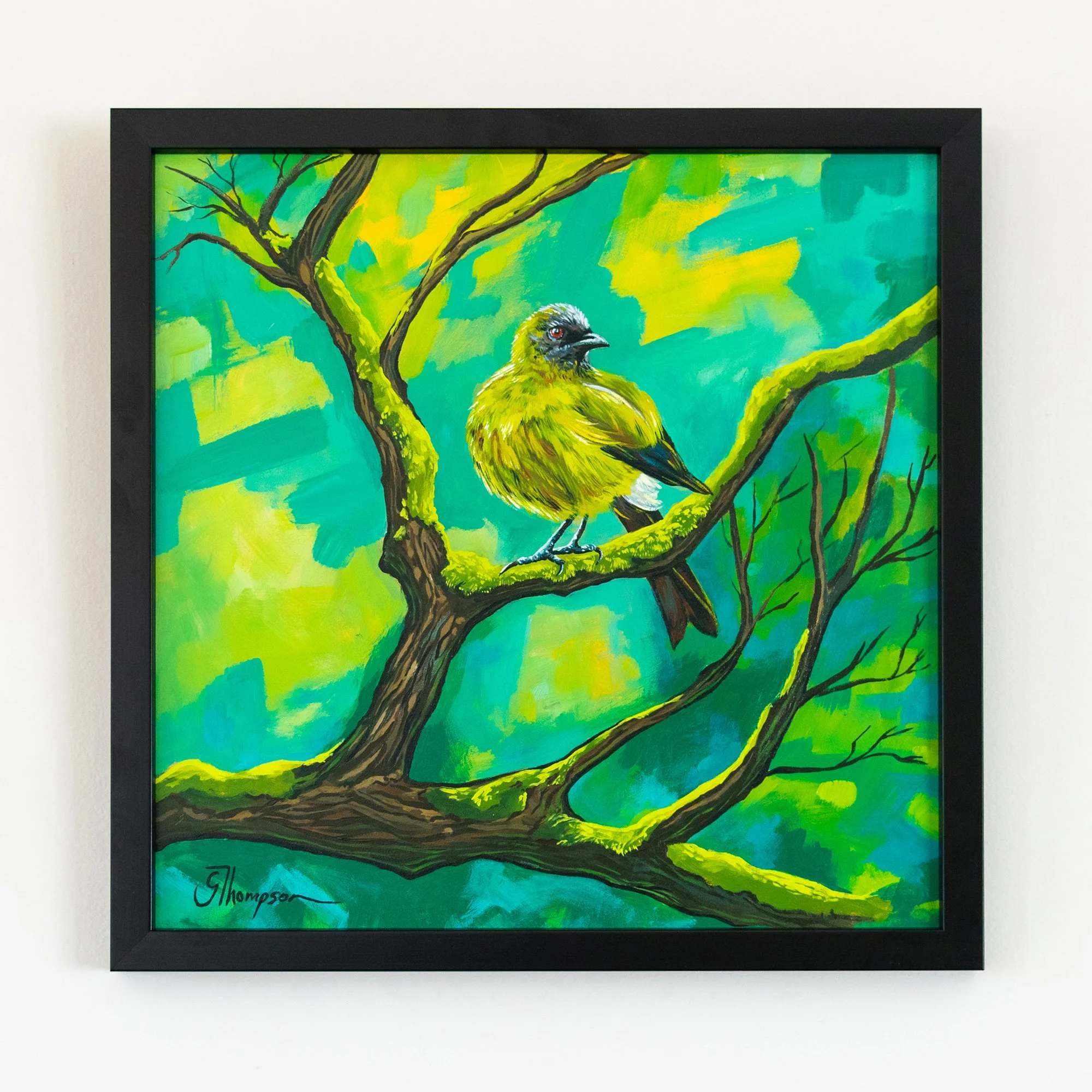 shop-original-bellbird-sass-framed.jpg