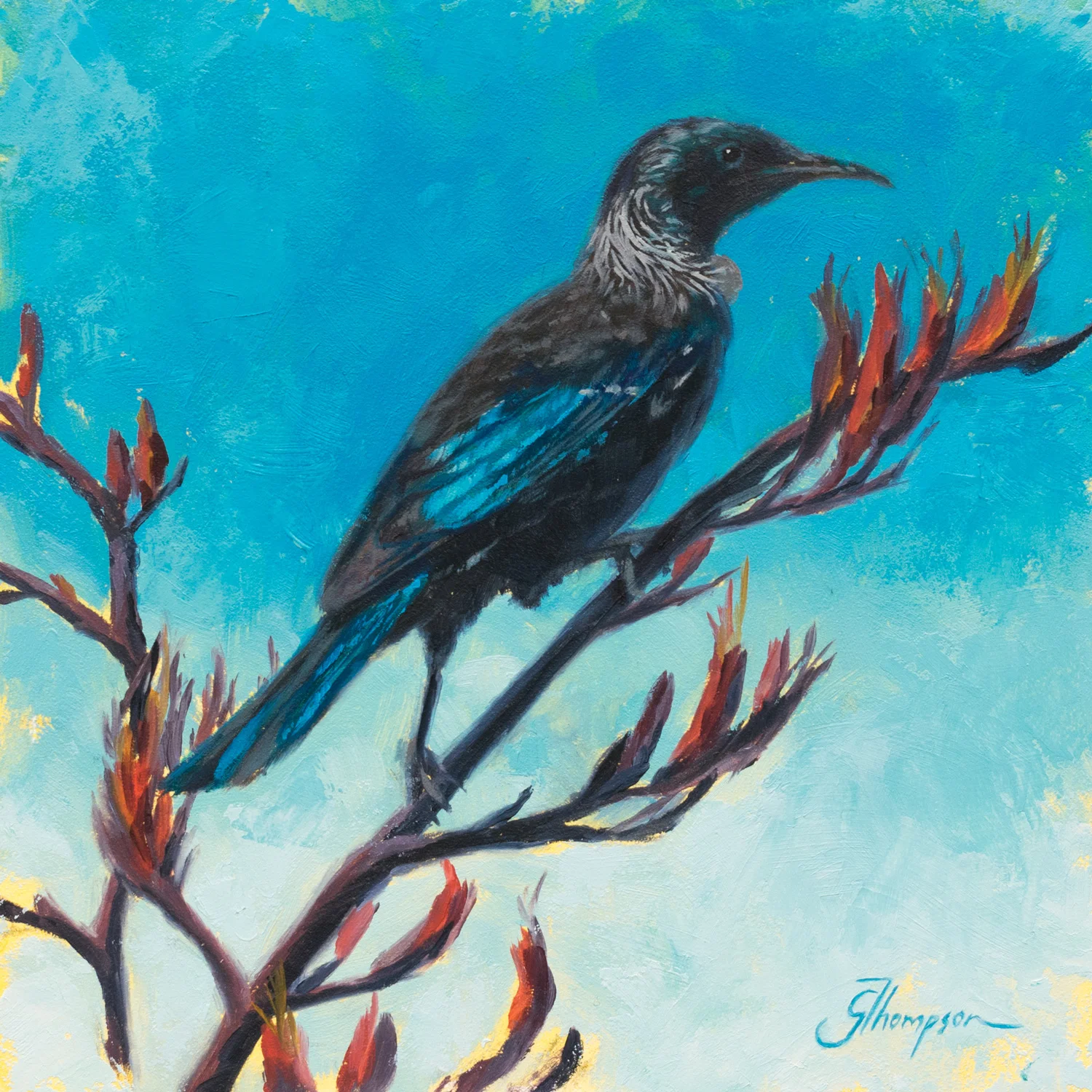 Tui at Patons Rock - FOR SALE $300