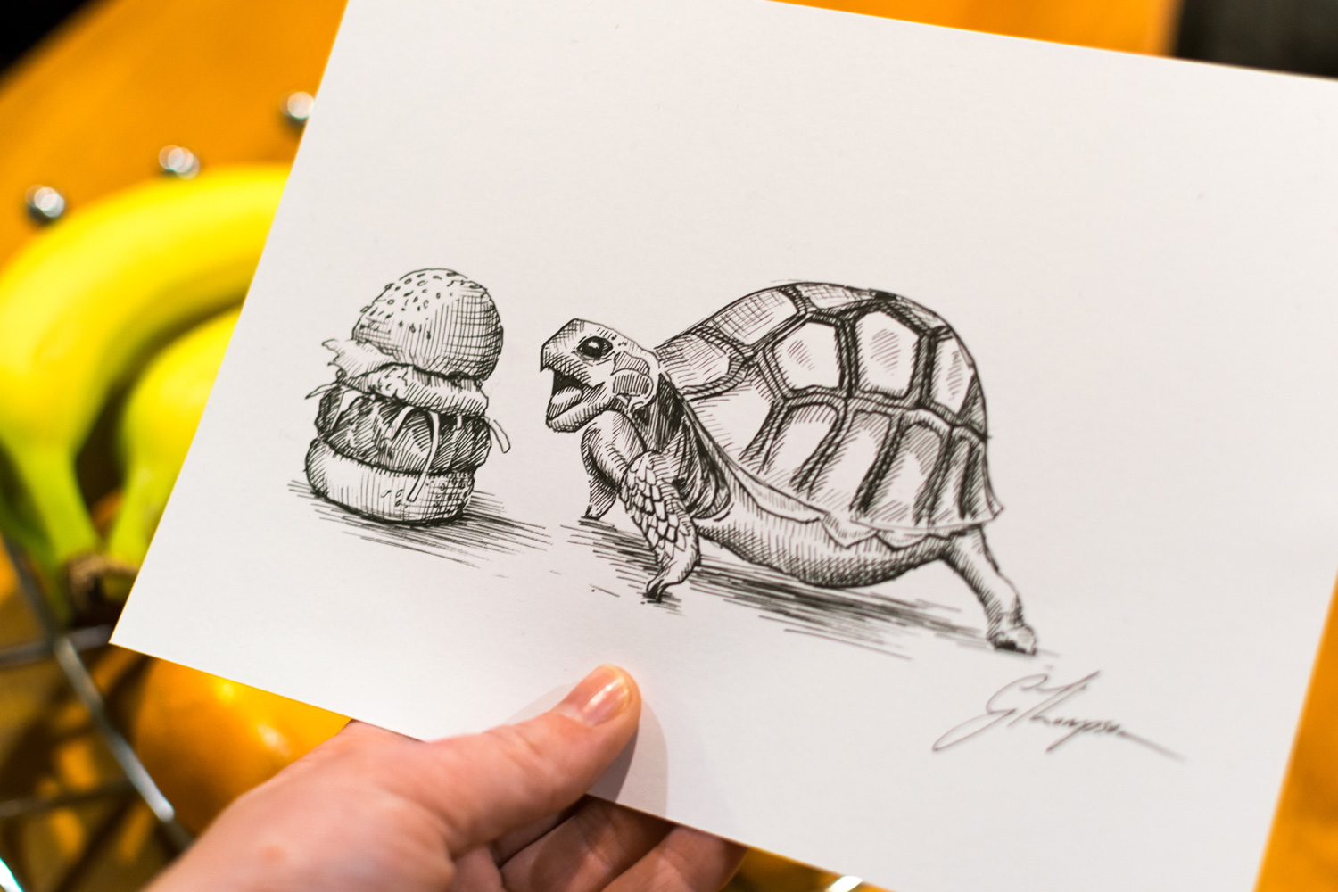 gallery-fiction-turtle-diet.jpg