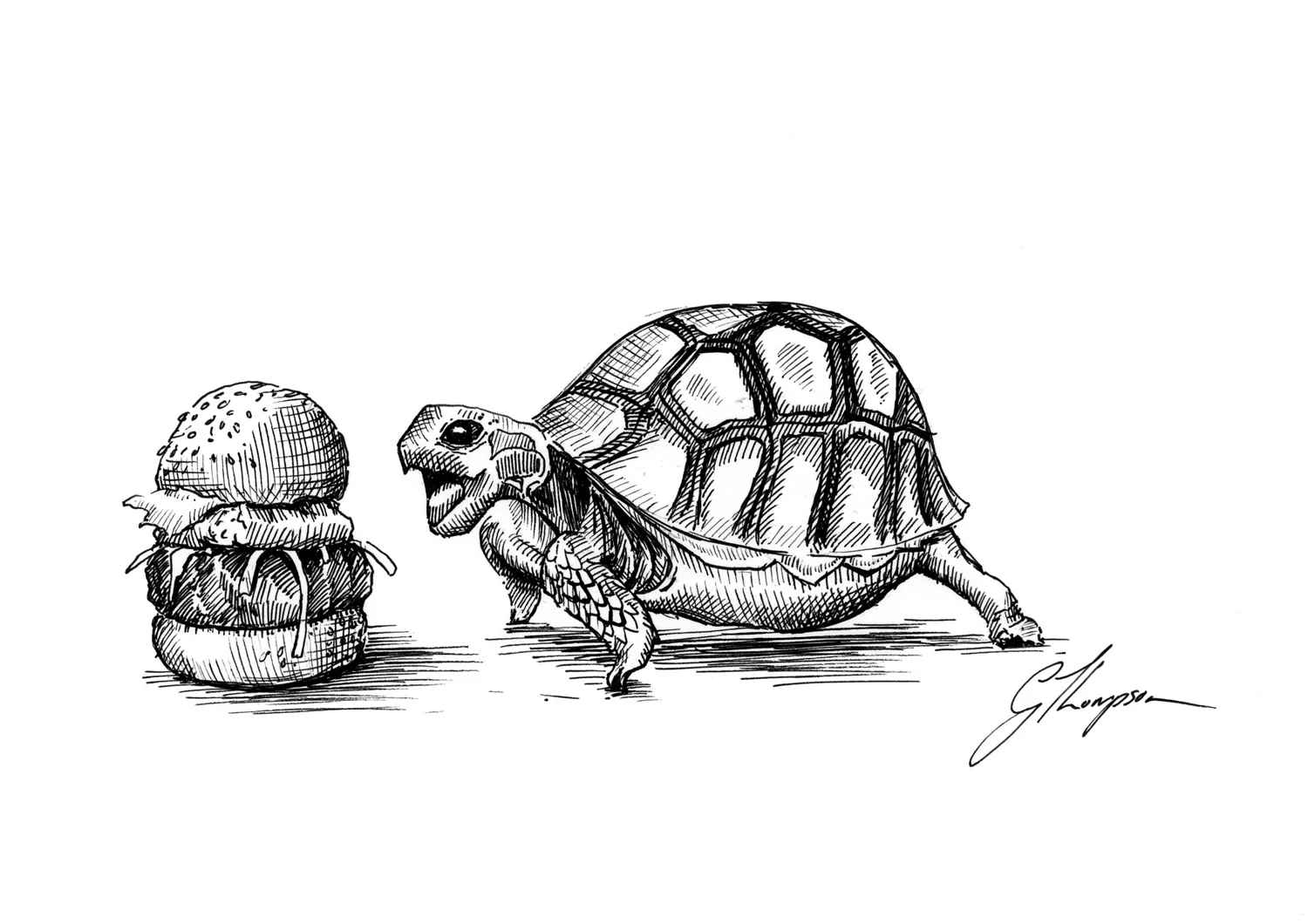 gallery-fiction-turtle-diet-scan.jpg