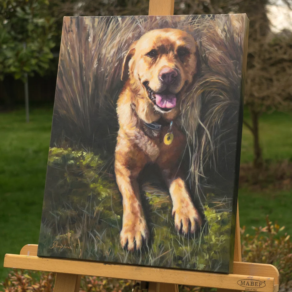 'Rueben the Dog' - Oil on Canvas 350mm x 450mm
