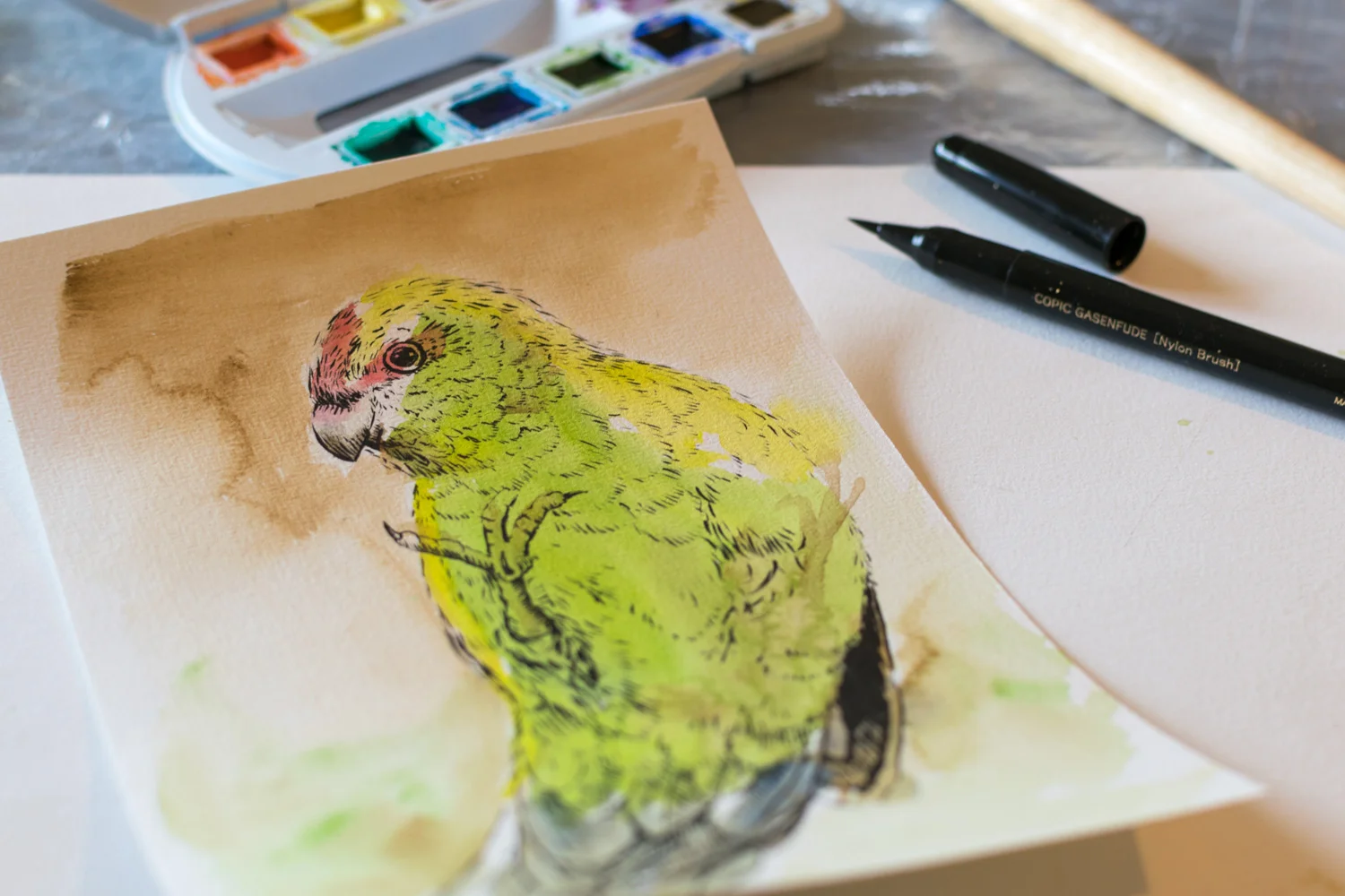 Further progress on the Kakariki sketch.