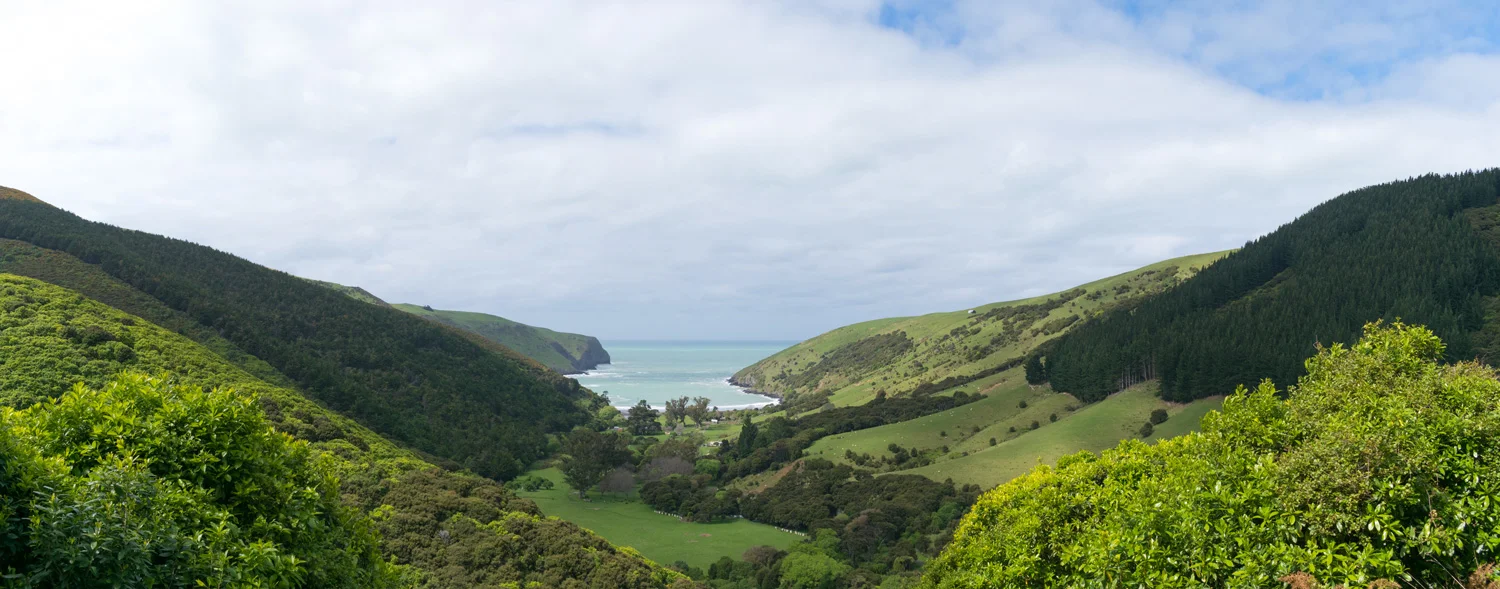 blog-hinewai-artist-retreat-walk-view6.jpg