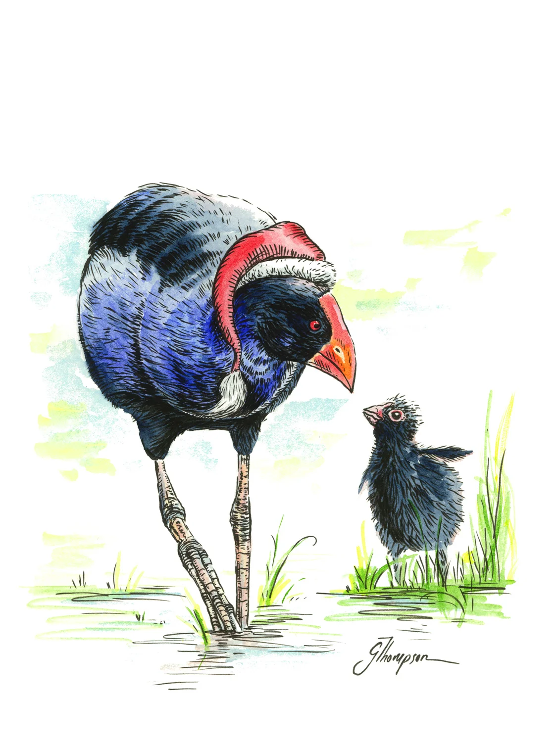blog_christmas_card_pukeko_art.jpg