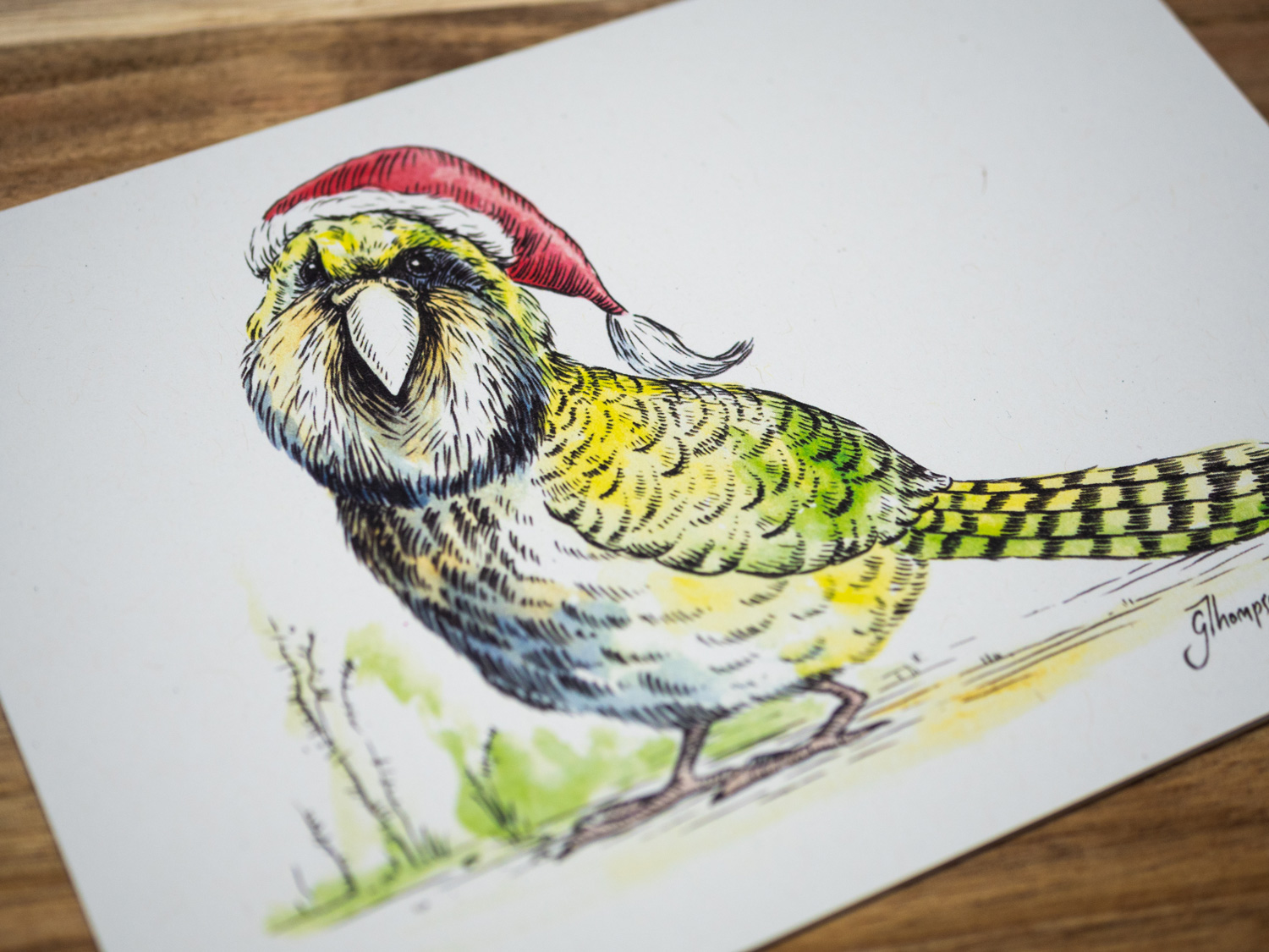 shop-christmas-cards-single-kakapo-detail.jpg
