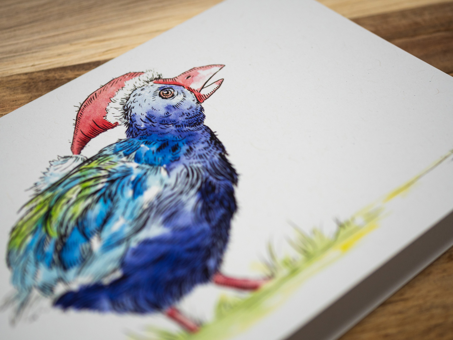 shop-christmas-cards-single-takahe-detail.jpg