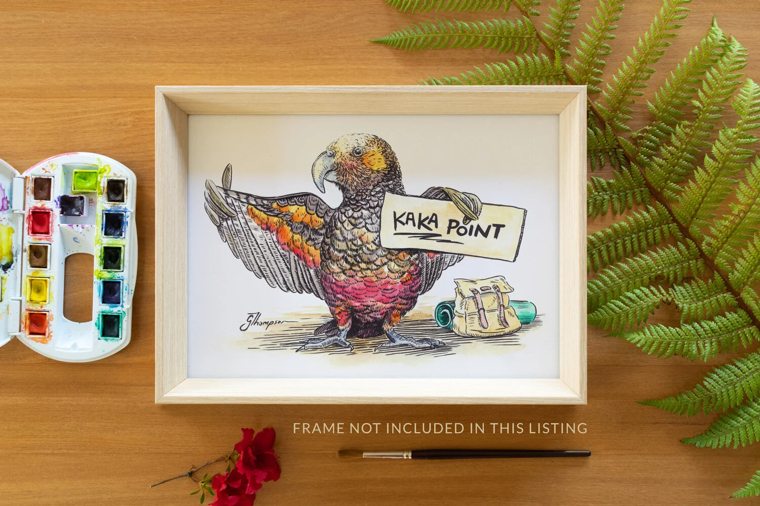 shop-native-bird-A4-print-kaka-point-frame-not-included.jpg