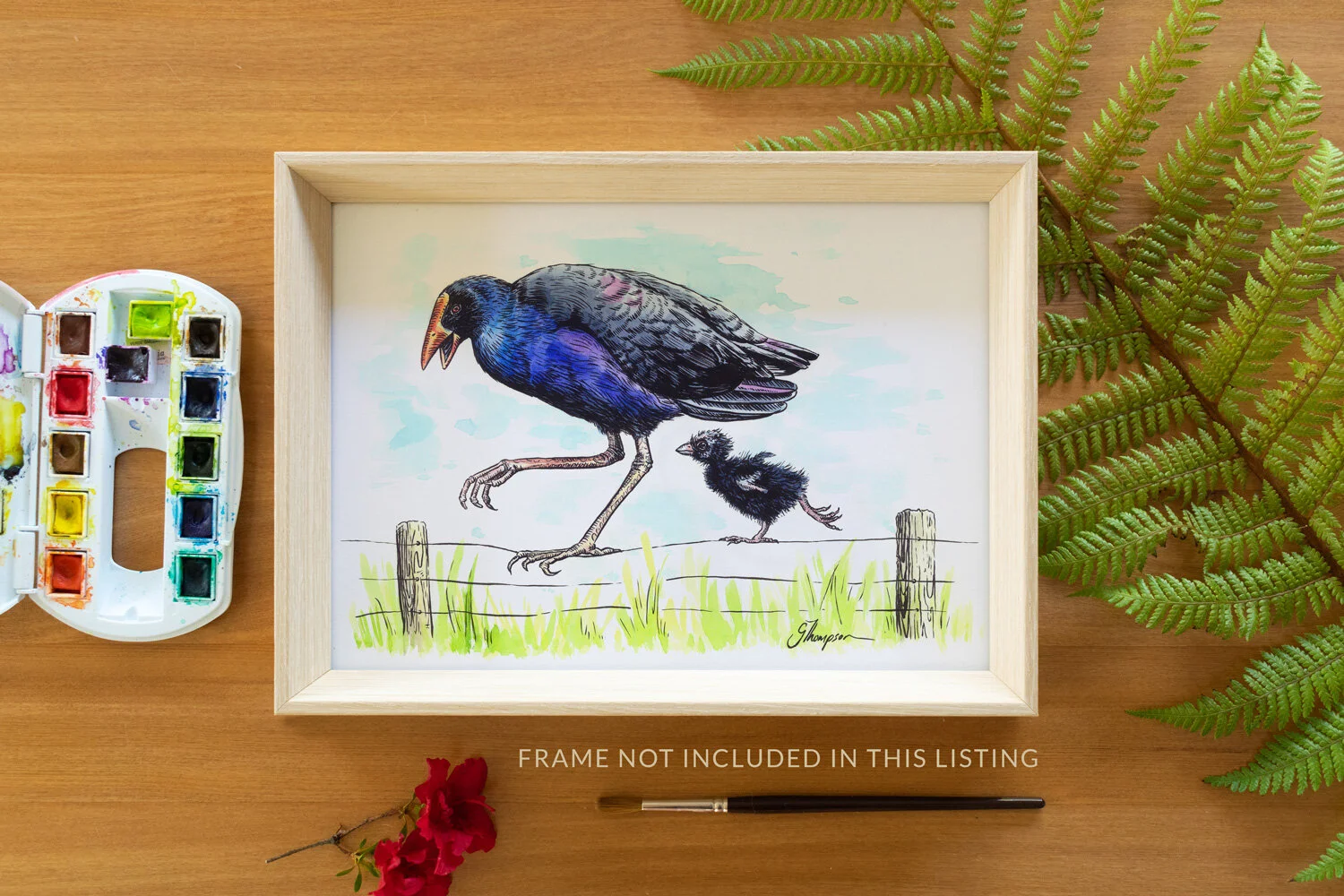 shop-native-bird-A4-print-no8-wire-frame-not-included.jpg